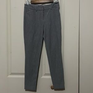 GRAY EXPRESS DRESS PANTS